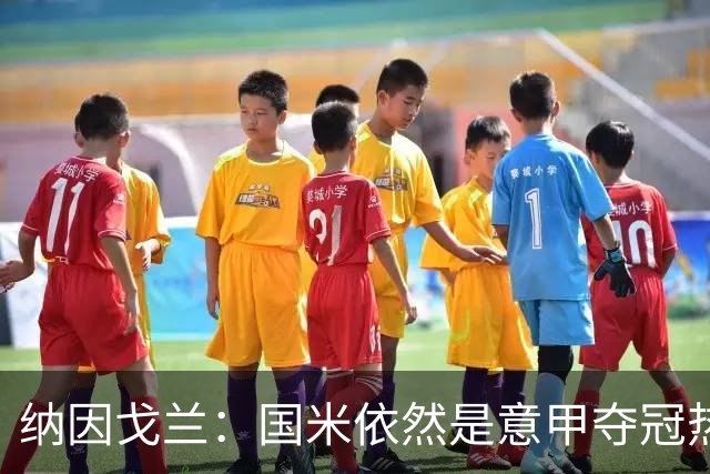 纳因戈兰：国米依然是意甲夺冠热门，这种强强对话对罗马是个考验